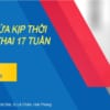 Nội soi cắt ruột thừa kịp thời cho sản phụ mang thai 17 tuần