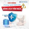 CHỦ ĐỘNG PHÒNG NGỪA BỆNH DẠI BẰNG CÁCH TIÊM NGỪA